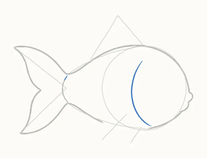 How to draw a fish, step 5: the face line