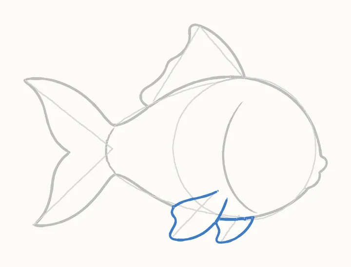 How to draw a fish, step 7: the fins underneath
