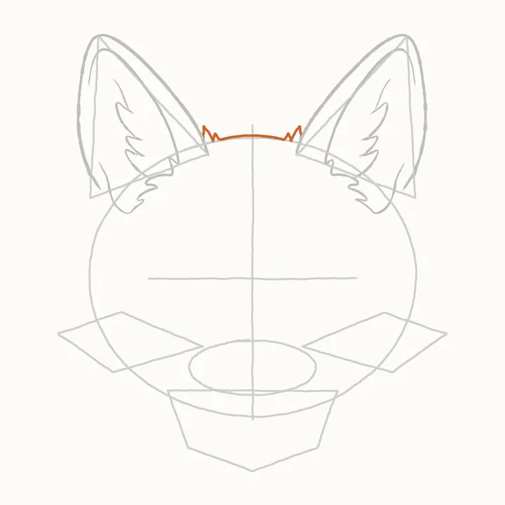 How to draw a fox face, step 5: the top of his head