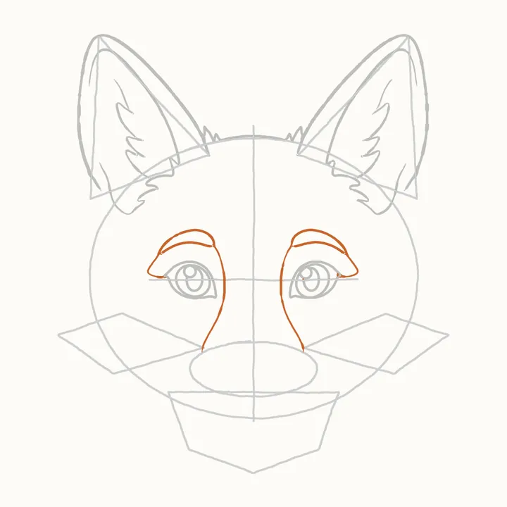 How to draw a fox face, step 7: the brows