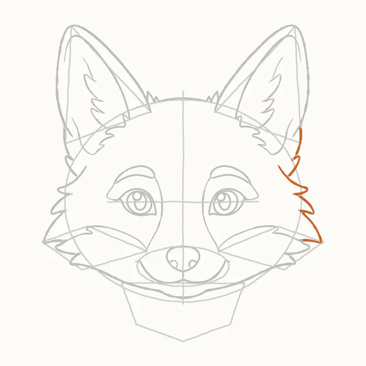 How to draw a fox face, step 11: the right side of his head