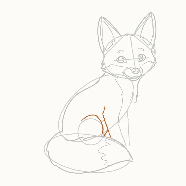 How to draw a fox, step 8: the haunch