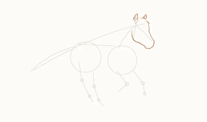 How to draw a horse running, step 4: the head and ears