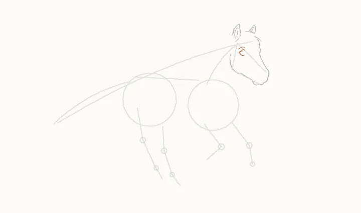 How to draw a horse running, step 5: the eye
