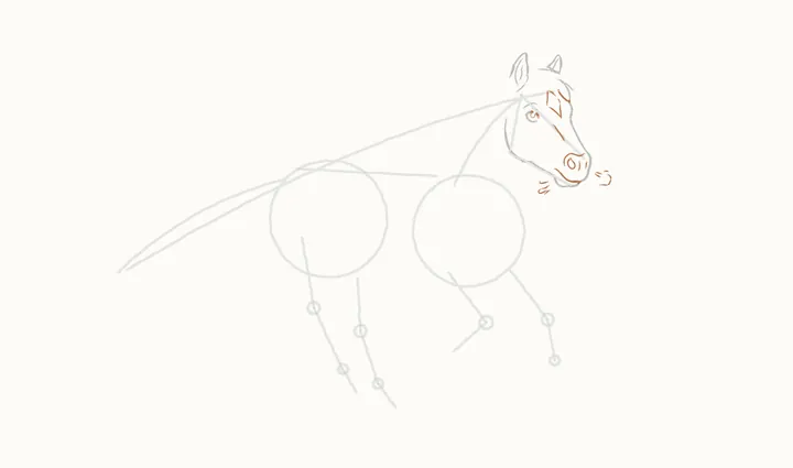 How to draw a horse running, step 6: muzzle and face