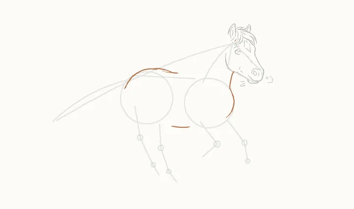 How to draw a horse running, step 8: throat, back and belly