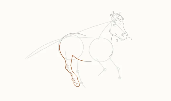How to draw a horse running, step 9: the near hind leg