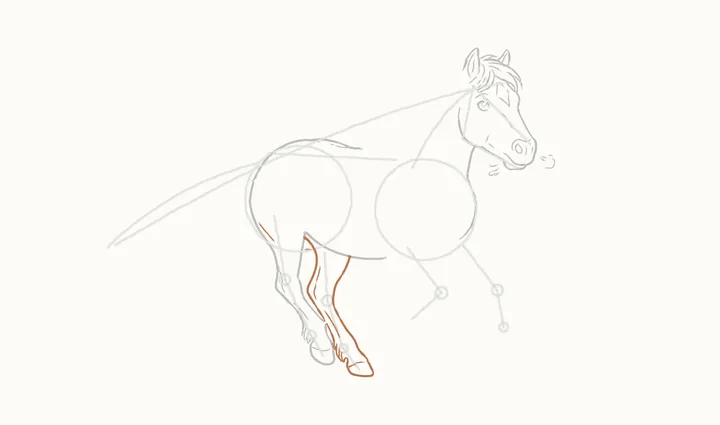 How to draw a horse running, step 10: the far hind leg