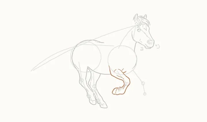 How to draw a horse running, step 11: the far foreleg