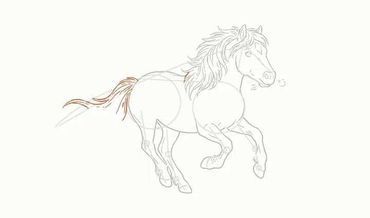 How to draw a horse running, step 16: the top of the tail