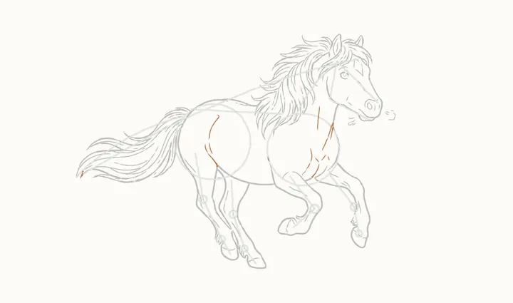 How to draw a horse running, step 18: muscles in motion
