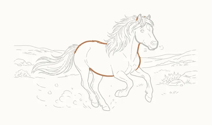 How to draw a horse running, step 29: go over the body