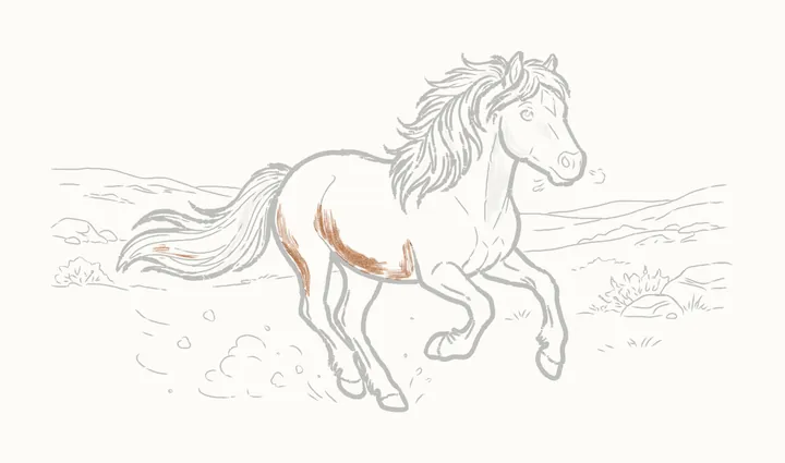 How to draw a horse running, step 38: the body