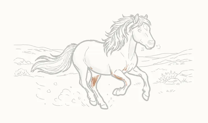 How to draw a horse running, step 39: the legs