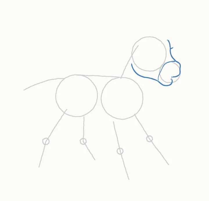 How to draw a horse, step 3: the head