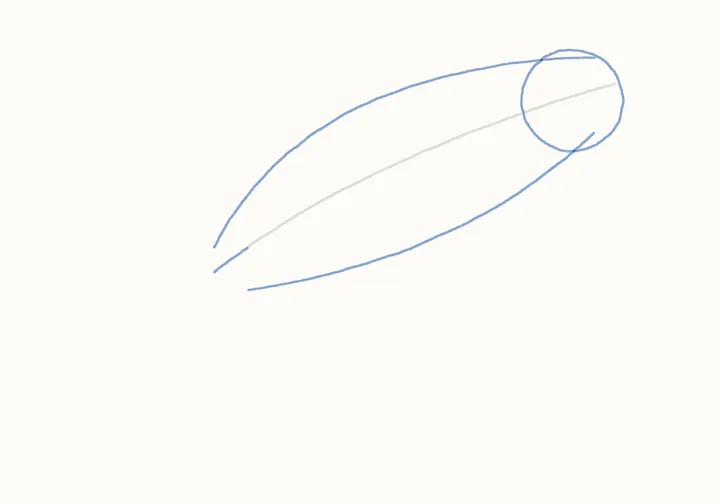 How to draw a humpback whale, step 2: head and body