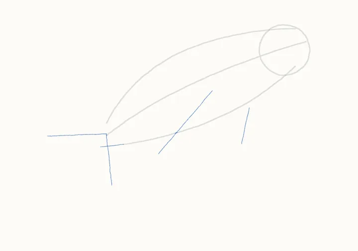 How to draw a humpback whale, step 3: fluke and flippers