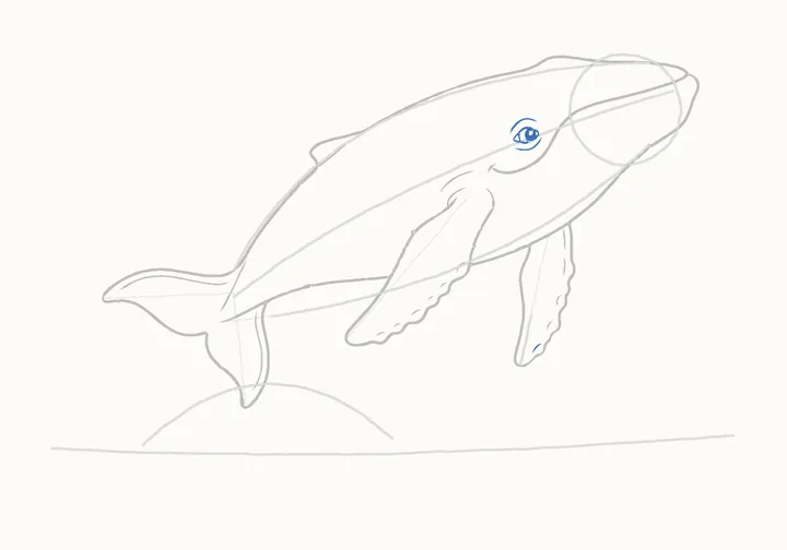 How to draw a humpback whale, step 11: the eye