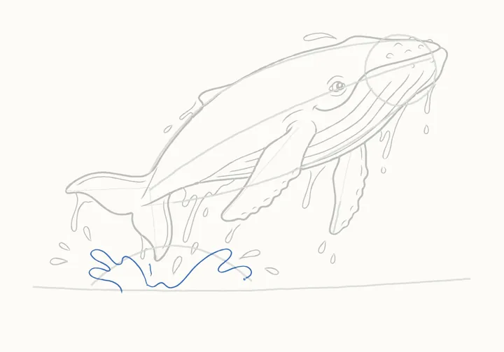 How to draw a humpback whale, step 15: the splash
