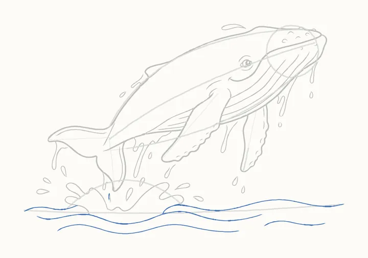How to draw a humpback whale, step 16: the sea