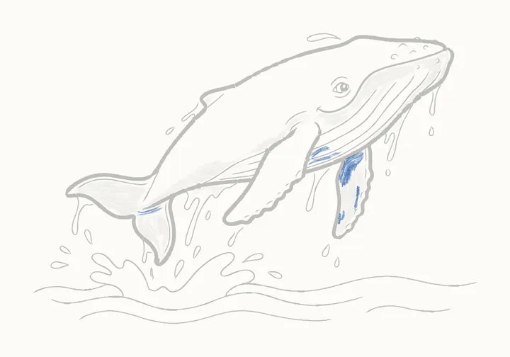 How to draw a humpback whale, step 26: the deepest shadows