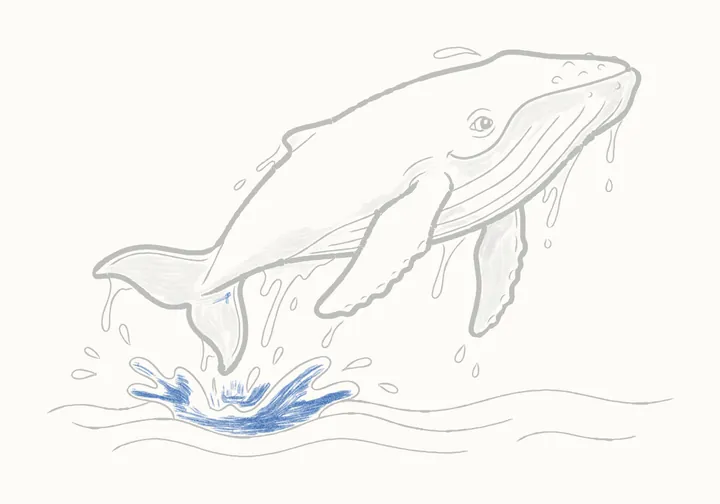 How to draw a humpback whale, step 27: shading the splash