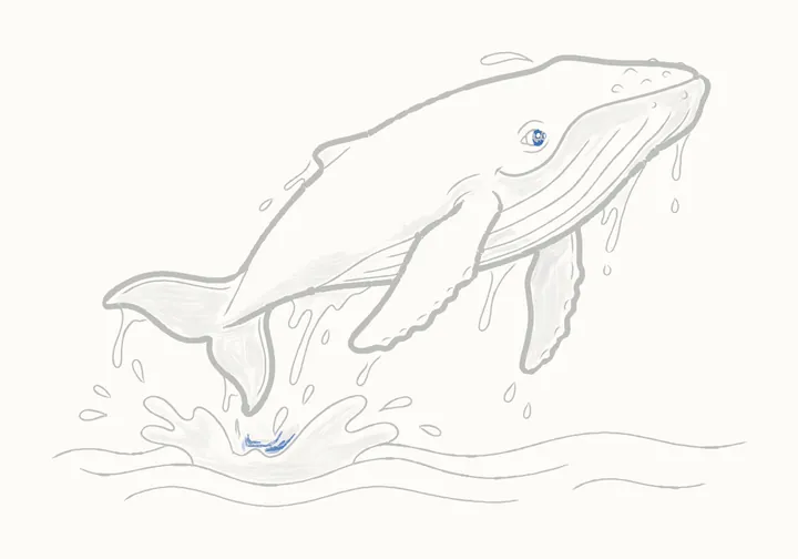 How to draw a humpback whale, step 28: the darks