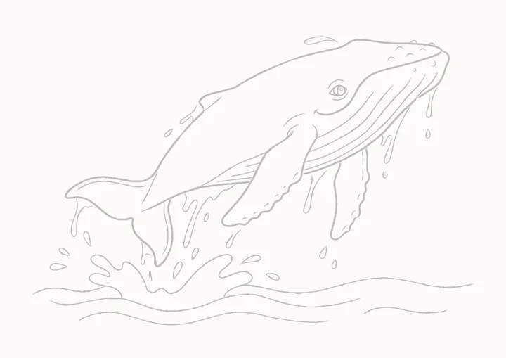 Cómo dibujar una ballena jorobada, paso 29: borra las guías