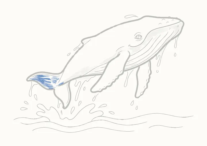 Cómo dibujar una ballena jorobada, paso 36: sombrea la cola