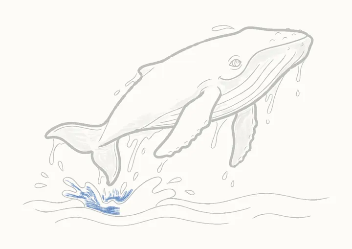 Cómo dibujar una ballena jorobada, paso 39: la salpicadura, izquierda