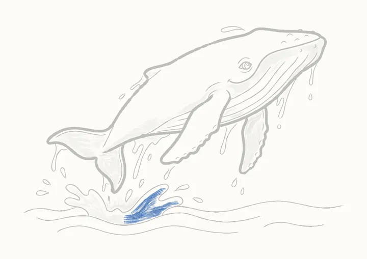 Cómo dibujar una ballena jorobada, paso 40: la salpicadura, derecha