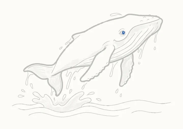 Cómo dibujar una ballena jorobada, paso 41: los toques oscuros