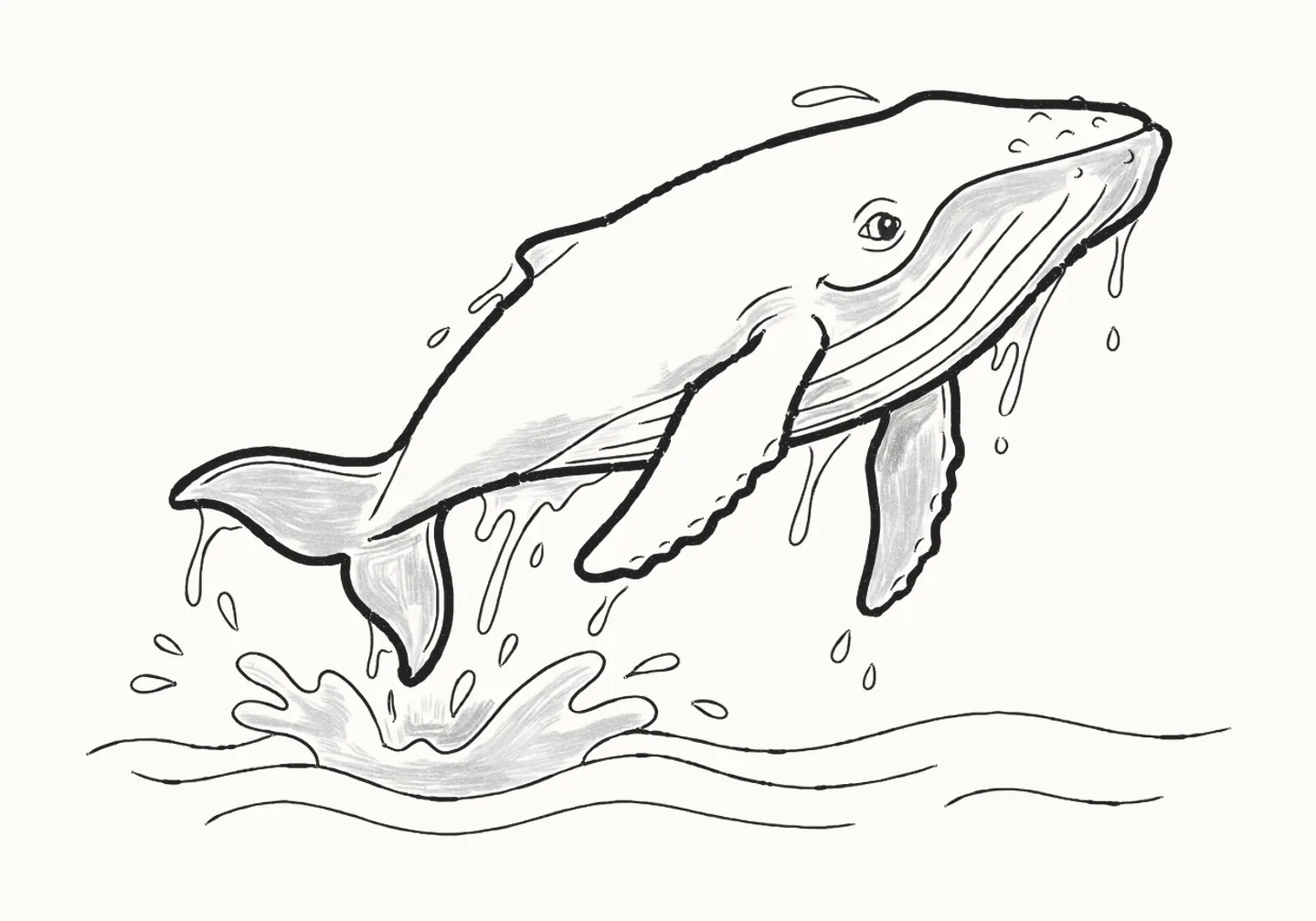 A finished pencil drawing of a humpback whale leaping out of the sea, long flippers out, water streaming off her and a splash below