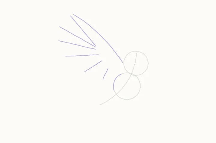 How to draw an owl flying, step 2: the near wing's guides