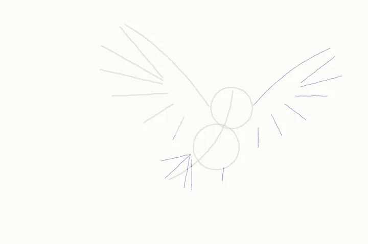 How to draw an owl flying, step 3: far wing, tail and legs