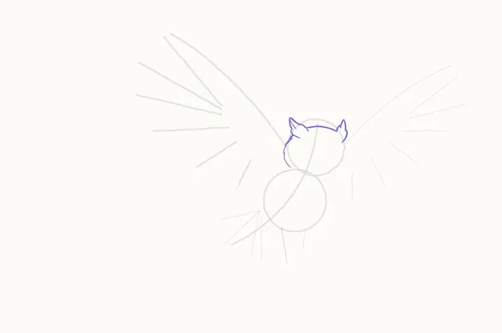 How to draw an owl flying, step 4: the head