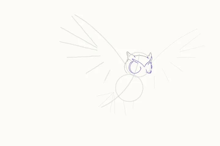 How to draw an owl flying, step 5: the face disc