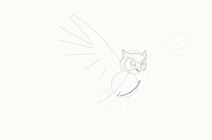 How to draw an owl flying, step 7: the body