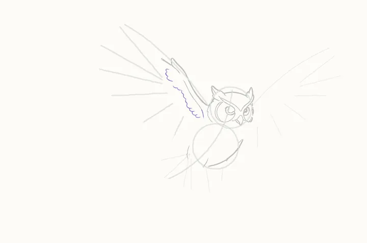 How to draw an owl flying, step 9: small coverts