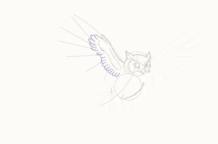 How to draw an owl flying, step 10: the covert row