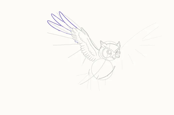 How to draw an owl flying, step 11: the longest feathers