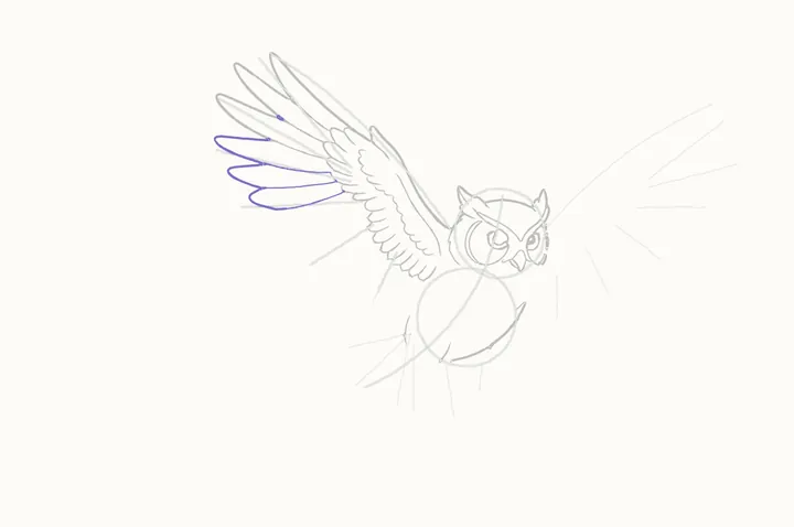 How to draw an owl flying, step 12: fanning out
