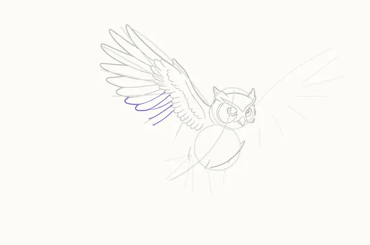 How to draw an owl flying, step 13: down the wing