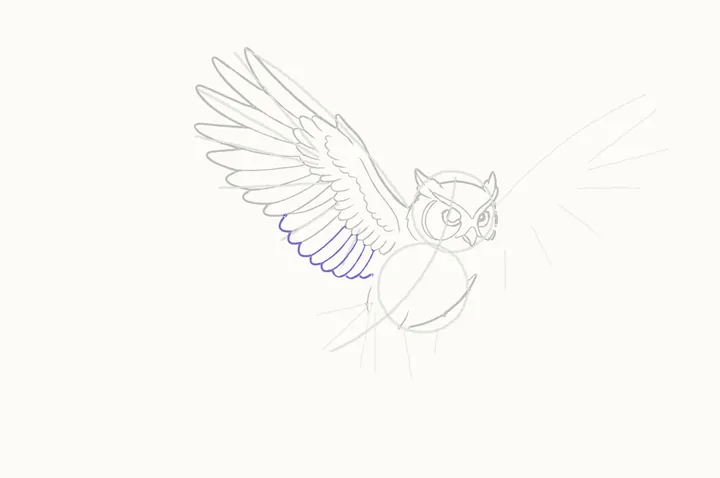 How to draw an owl flying, step 14: back to the body