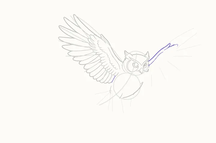 How to draw an owl flying, step 15: the far wing's leading edge