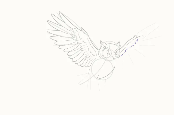 How to draw an owl flying, step 16: its small coverts