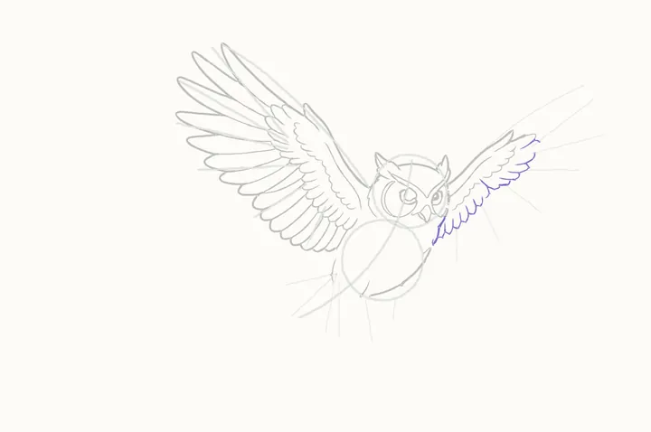 How to draw an owl flying, step 17: its covert row