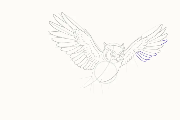 How to draw an owl flying, step 19: fanning round