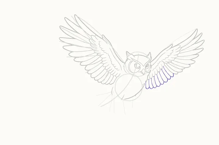 How to draw an owl flying, step 20: the secondaries
