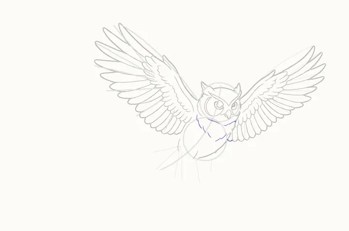 How to draw an owl flying, step 21: chest feathers